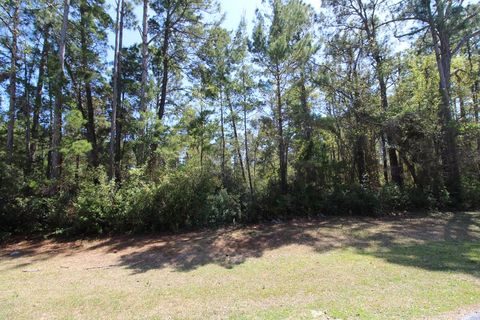 Photo of 260 Boncycle Land Dr, Eastpoint, FL 32328 (MLS # 327940)