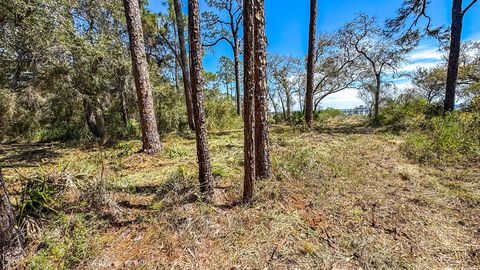 Photo of 2808 Hwy 98 E, Carrabelle, FL 32322 (MLS # 327816)