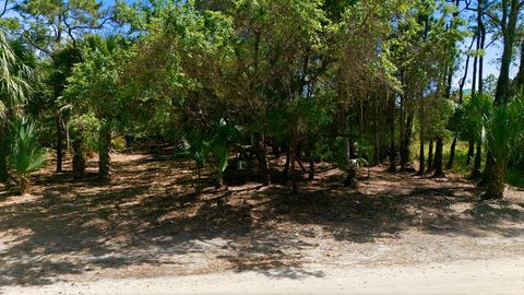 Photo of 840 E Pine Ave, Saint George Island, FL 32328 (MLS # 328067)