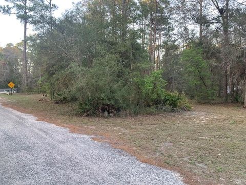 Photo of Lot 11 Buckhorn Creek Rd, Sopchoppy, FL 32358 (MLS # 327733)