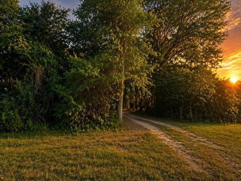 Photo of 708 Cr 386 N, Wewahitchka, FL 32465 (MLS # 328094)