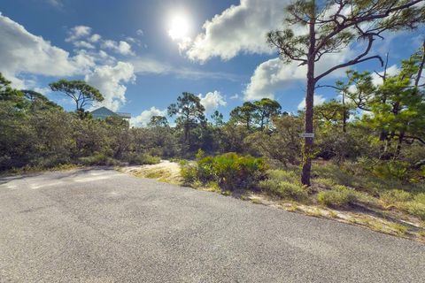 Photo of 2012 Pelican Court E, Saint George Island, FL 32328 (MLS # 323999)