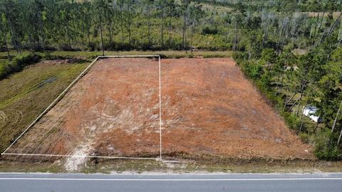 Photo of 6364 Doc Whitfield Rd, Wewahitchka, FL 32465 (MLS # 328045)
