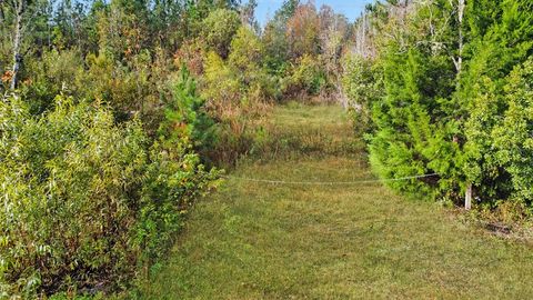 Photo of Lot 2 Old Bay City Rd, Wewahitchka, FL 32465 (MLS # 324662)