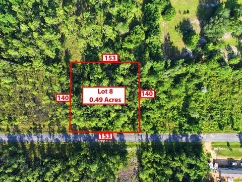 Photo of 157 Jazzy Lane, Wewahitchka, FL 32465 (MLS # 322437)