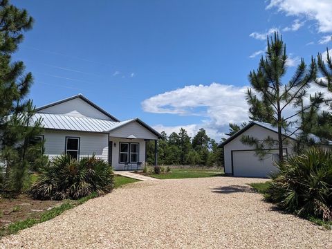 Photo of 383 Gramercy Plantation Blvd, Eastpoint, FL 32328 (MLS # 321885)