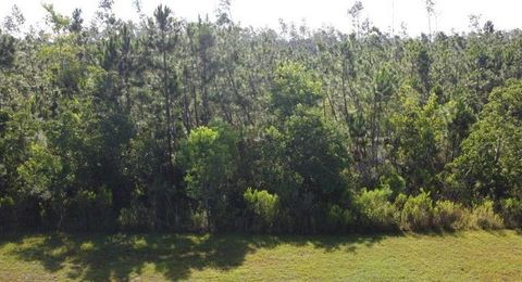 Photo of 817 Wide Water Cir, Wewahitchka, FL 32465 (MLS # 328868)