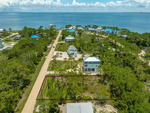 Photo of 319 Brown St, Saint George Island, FL 32328 (MLS # 322541)