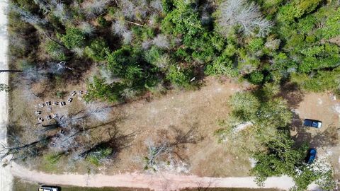 Photo of Lot 1 Old Magnolia Rd, Wewahitchka, FL 32465 (MLS # 324306)