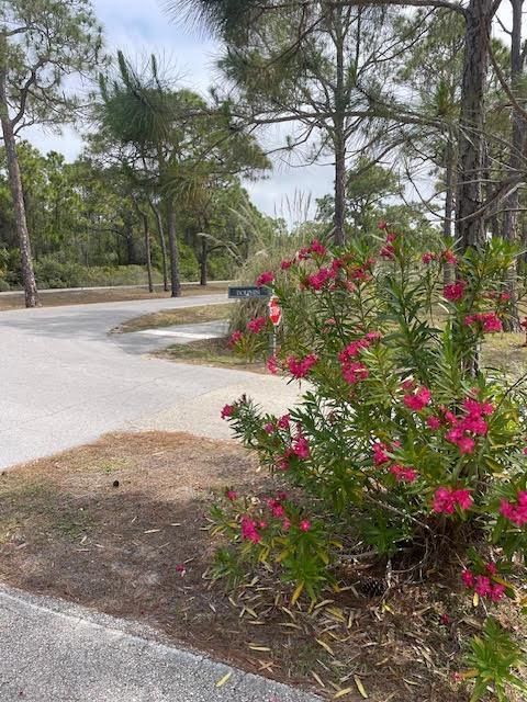 Photo of 2144 Dolphin Ct, Saint George Island, FL 32328 (MLS # 328162)