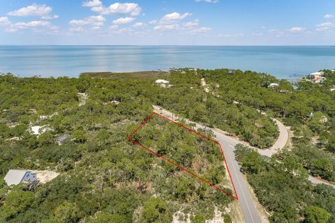 Photo of 1240 Sea Pines Pl, Saint George Island, FL 32328 (MLS # 320762)