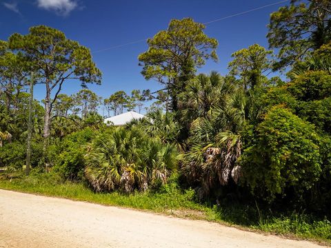 Photo of 617 E Pine St, Saint George Island, FL 32328 (MLS # 322011)