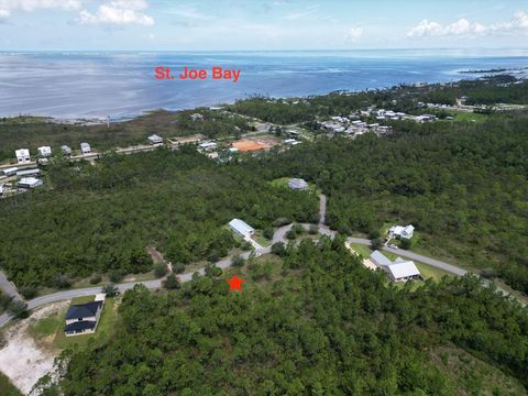 Photo of 37 & 38 Shallow Reed Dr, Port Saint Joe, FL 32456 (MLS # 326576)