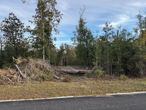 Photo of Lot 7 SE Cypress Point Rd, Kinard, FL 32449 (MLS # 324679)