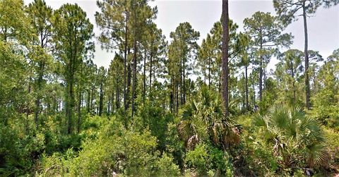 Photo of 1 Cr 30-A, Port Saint Joe, FL 32456 (MLS # 324094)