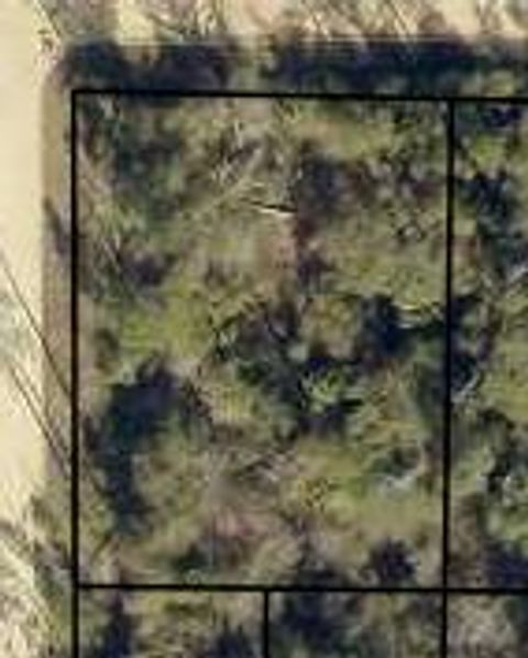 Photo of 0 Ivydell St, Fountain, FL 32438 (MLS # 325124)