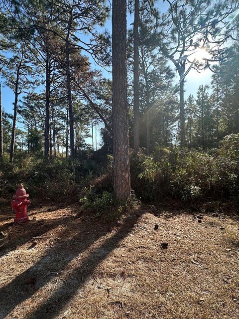 Photo of 255 Royal Tern Way, Carrabelle, FL 32322 (MLS # 326321)