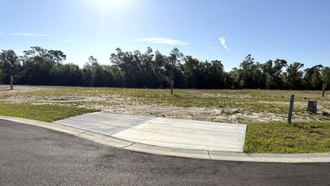 Photo of 194 Kiera Ct, Wewahitchka, FL 32465 (MLS # 328107)