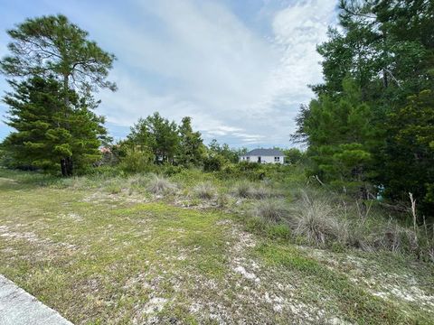 Photo of 1645 Landing St, Carrabelle, FL 32322 (MLS # 324177)