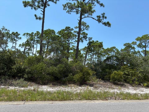 Photo of 207 Signal Ln, Port Saint Joe, FL 32456 (MLS # 326337)