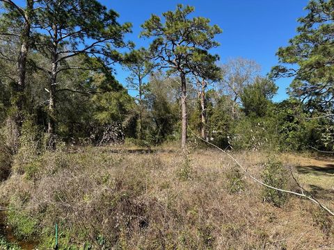 Photo of 249 15th St, Apalachicola, FL 32320 (MLS # 321188)