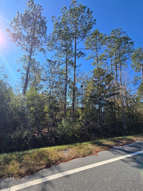Photo of Lot 31 Doc Whitfield Rd, Wewahitchka, FL 32465 (MLS # 324733)