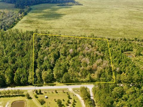 Photo of 6641 Farm Rd, Wewahitchka, FL 32465 (MLS # 324364)