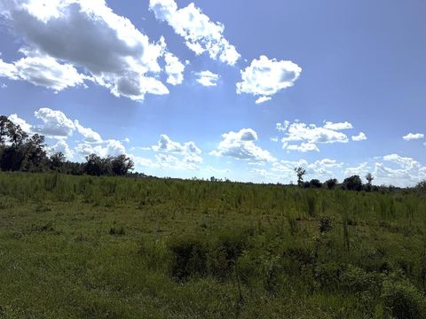 Photo of Lot 9 Hwy 71, Wewahitchka, FL 32465 (MLS # 324073)