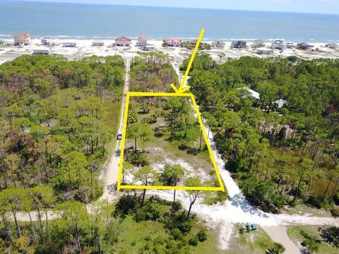 Photo of 1377 E Gulf Beach Dr, Saint George Island, FL 32328 (MLS # 327657)