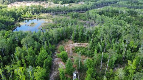 Photo of 147 Faison Rd, Wewahitchka, FL 32465 (MLS # 328043)