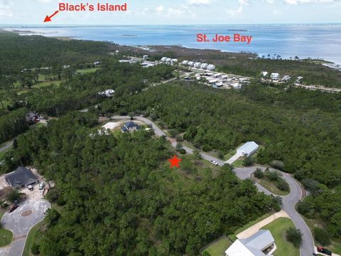 Photo of 126 Shallow Reed Dr, Port Saint Joe, FL 32456 (MLS # 322623)