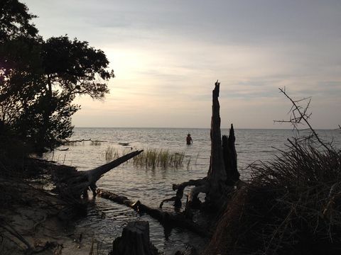 Photo of 1431 Dove Ln, Saint George Island, FL 32328 (MLS # 326485)