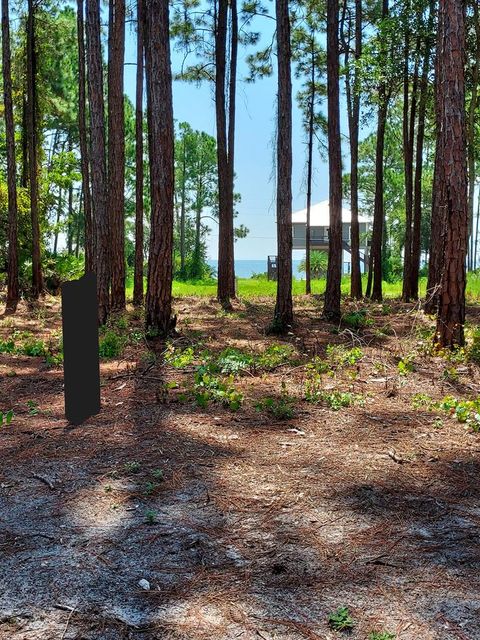 Photo of 164 Royal Tern Way, Carrabelle, FL 32322 (MLS # 324229)