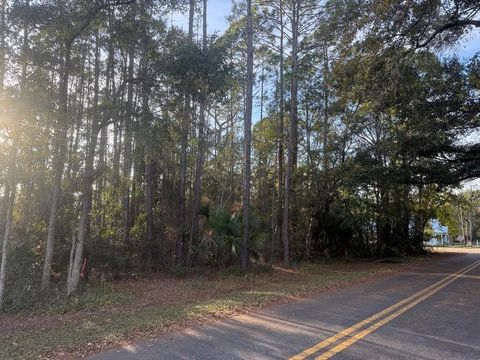 Photo of 198 13th St, Apalachicola, FL 32320 (MLS # 324673)