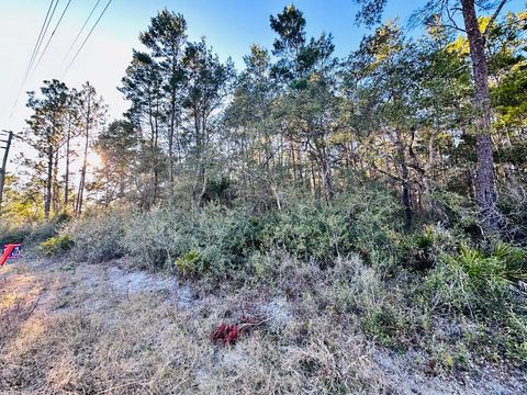 Photo of 2047 Hwy 98 W, Carrabelle, FL 32322 (MLS # 320873)