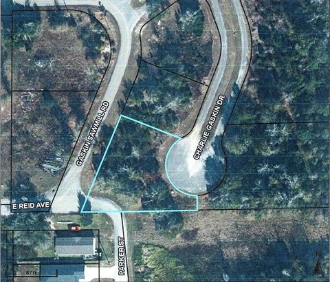 Photo of 35 Charlie Gaskin Dr, Wewahitchka, FL 32465 (MLS # 323863)
