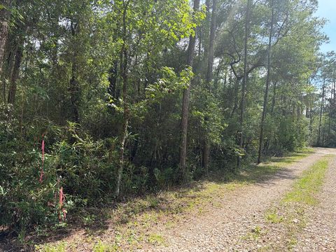 Photo of Lot 18 Pamela Pl, Sopchoppy, FL 32358 (MLS # 328652)