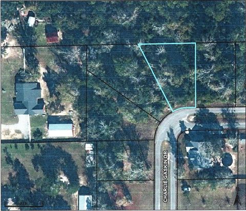 Photo of 27 Charlie Gaskin Dr, Wewahitchka, FL 32465 (MLS # 323860)