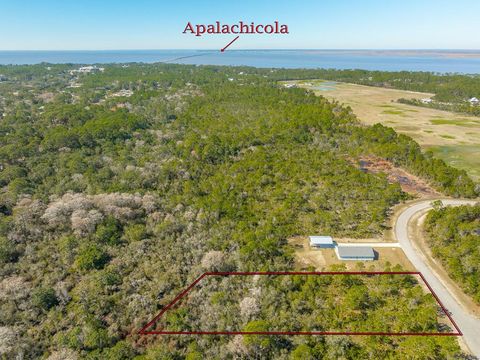 Photo of 339 Blue Heron Dr, Eastpoint, FL 32328 (MLS # 320981)