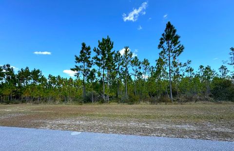 Photo of Lot 17 Wide Water Cir, Wewahitchka, FL 32465 (MLS # 326544)