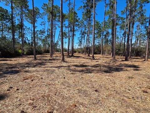 Photo of Lot 15 Trey's Ln, Wewahitchka, FL 32465 (MLS # 316300)