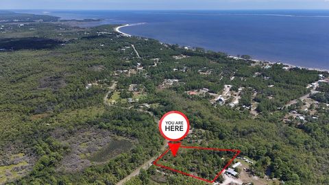 Photo of 262 Frank McKamey Way, Carrabelle, FL 32322 (MLS # 324092)