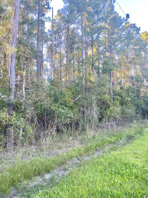 Photo of 653 Bryant Landing Rd, Wewahitchka, FL 32456 (MLS # 324558)