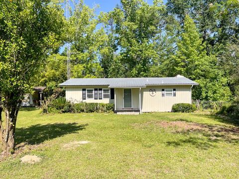 Photo of 211 Fraley St, Wewahitchka, FL 32465 (MLS # 322043)