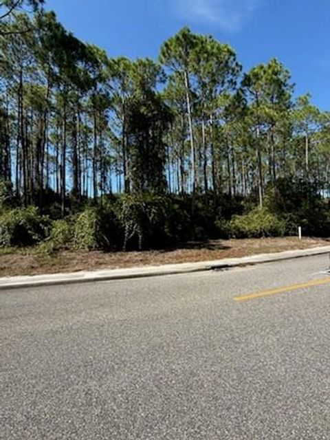Photo of 171 Royal Tern Way, Carrabelle, FL 32323 (MLS # 324451)