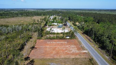 Photo of Lot 16 Doc Whitfield Rd, Wewahitchka, FL 32465 (MLS # 328046)