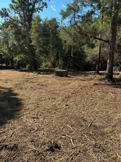 Photo of 2601 Oak St, Carrabelle, FL 32323 (MLS # 322159)