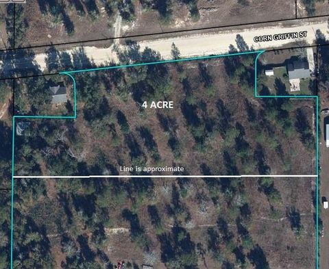Photo of 0 Corn Griffin St, Wewahitchka, FL 32465 (MLS # 323786)
