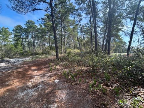 Photo of 1863 Lighthouse Rd, Carrabelle, FL 32322 (MLS # 324295)
