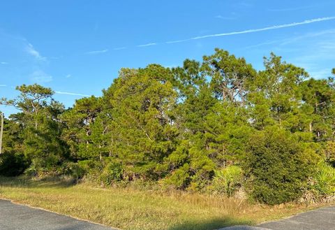 Photo of 212 Pond Away Ct, Eastpoint, FL 32328 (MLS # 322525)